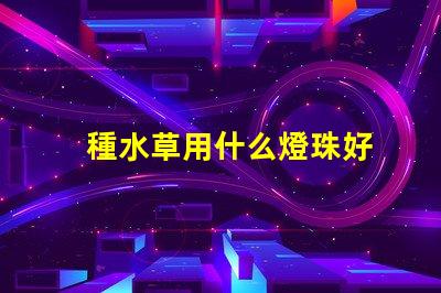 種水草用什么燈珠好