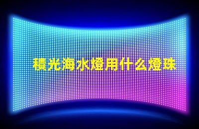 積光海水燈用什么燈珠