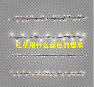 紅草用什么顏色的燈珠