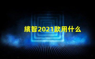 繽智2021款用什么燈珠