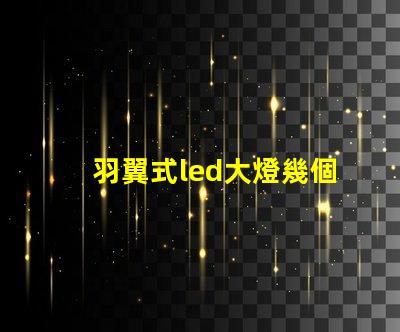 羽翼式led大燈幾個燈珠