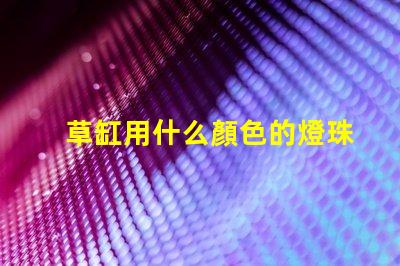 草缸用什么顏色的燈珠