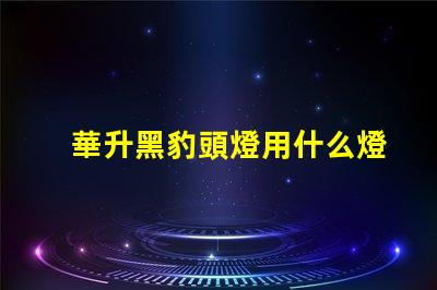 華升黑豹頭燈用什么燈珠