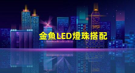 金魚LED燈珠搭配