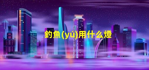 釣魚(yú)用什么燈珠最好呢
