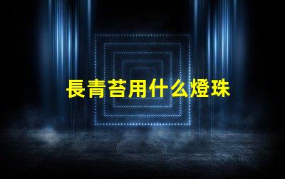 長青苔用什么燈珠