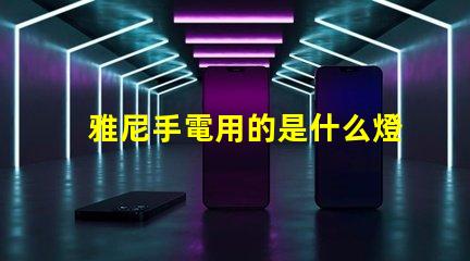 雅尼手電用的是什么燈珠