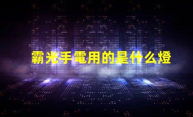 霸光手電用的是什么燈珠
