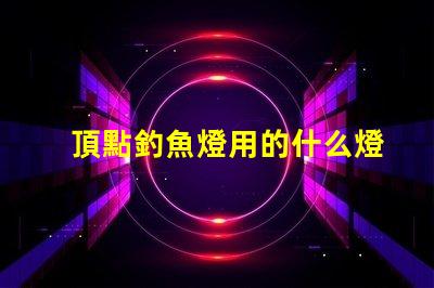 頂點釣魚燈用的什么燈珠