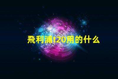 飛利浦t20用的什么燈珠