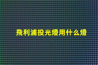 飛利浦投光燈用什么燈珠