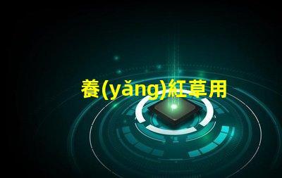 養(yǎng)紅草用什么LED燈珠