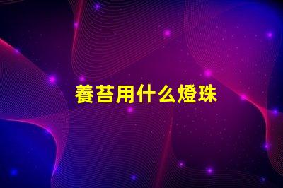 養苔用什么燈珠