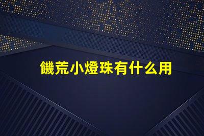 饑荒小燈珠有什么用