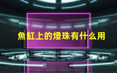 魚缸上的燈珠有什么用