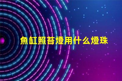 魚缸照苔燈用什么燈珠