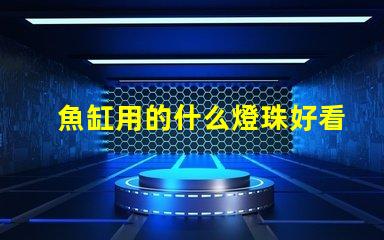 魚缸用的什么燈珠好看