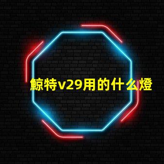 鯨特v29用的什么燈珠