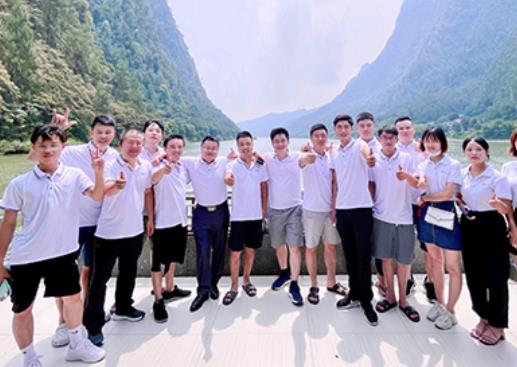 天成led燈珠公司理念家庭運營模式